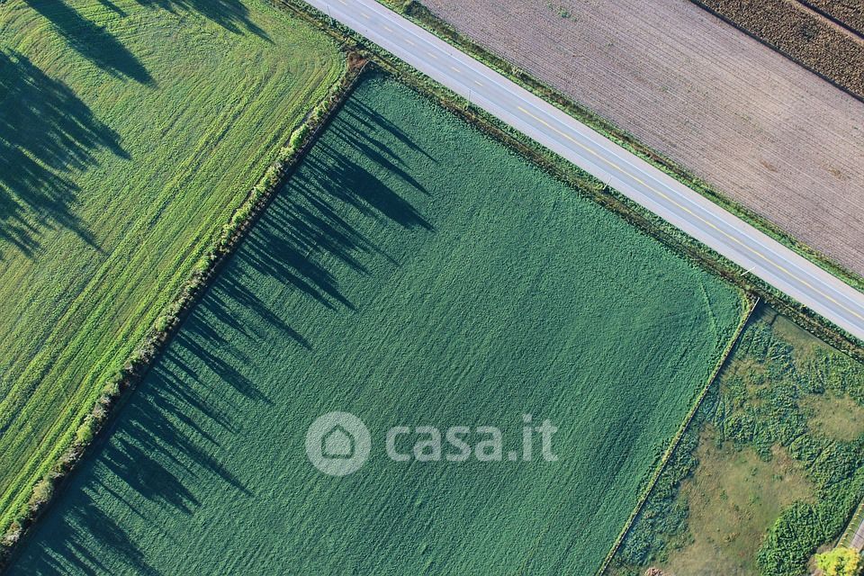 Terreno agricolo in Vendita in Via Roma a Borgo Veneto