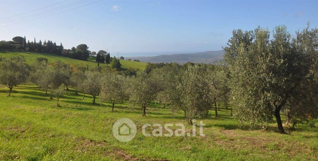 Terreno agricolo in Vendita in Via della Repubblica a Castellina Marittima