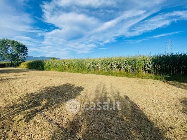 Terreno agricolo in Vendita in Località Titignano a Cascina
