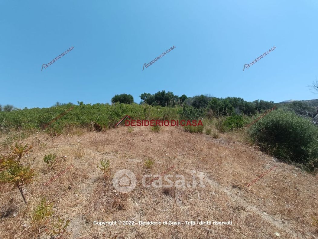 Terreno agricolo in Vendita in Via Olivazza a Lascari
