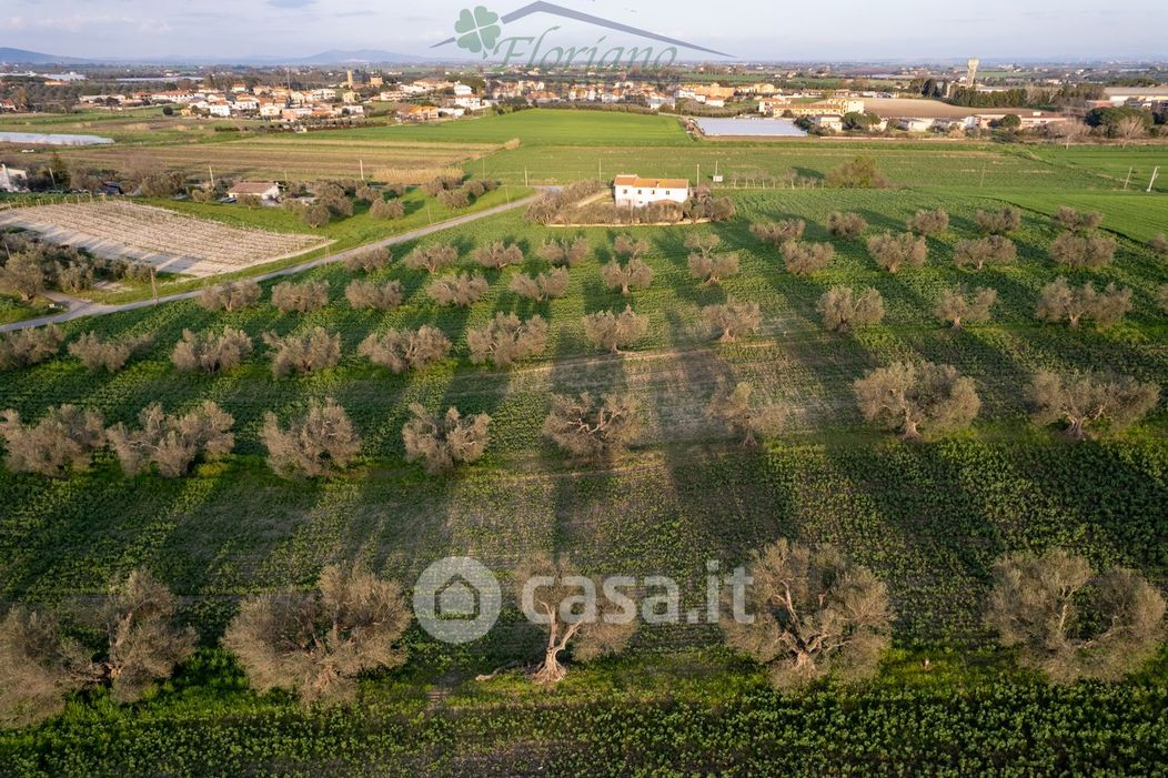 Terreno agricolo in Vendita in Località la Moletta a Montalto di Castro
