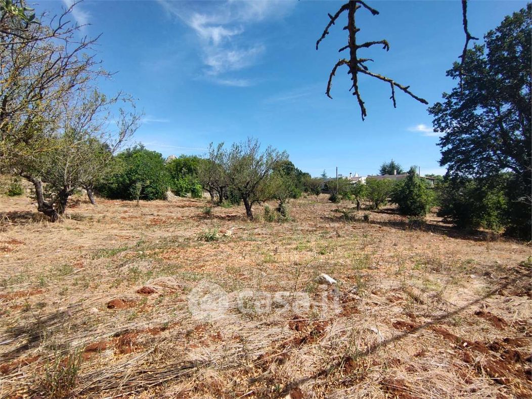 Terreno agricolo in Vendita in Contrada Pagliericci a Monopoli