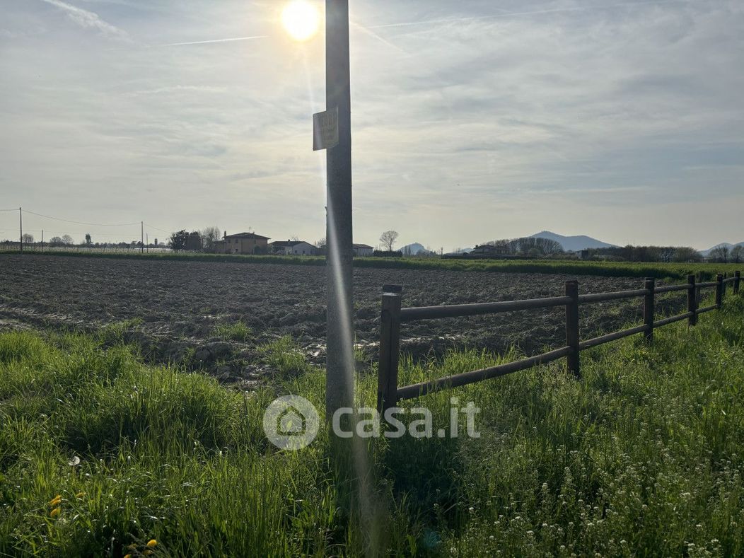 Terreno agricolo in Vendita in Via Reate a San Pietro Viminario