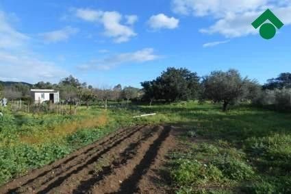 Terreno agricolo in Vendita in Via Su Pranu a Villasimius