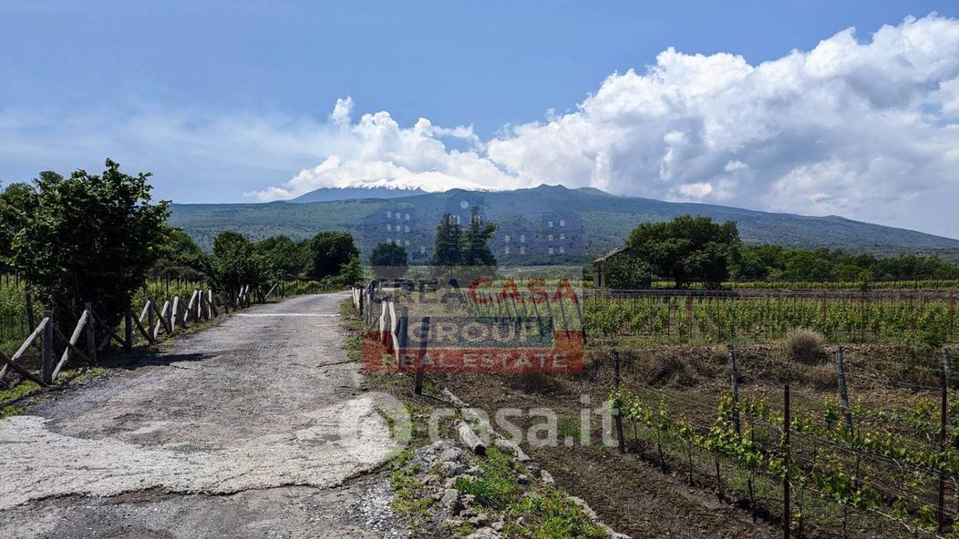 Terreno agricolo in Vendita in Strada Statale dell'Etna e delle Madonie a Castiglione di Sicilia