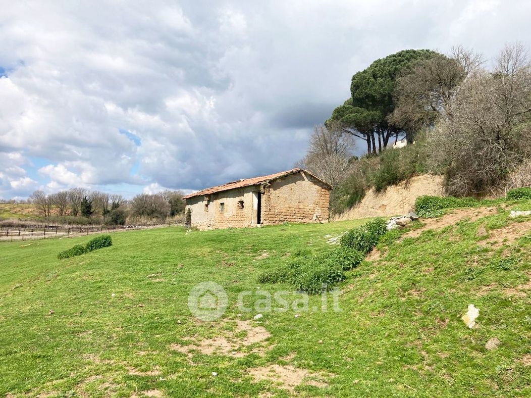 Terreno agricolo in Vendita in Località Monte Calderone 107 a Nepi