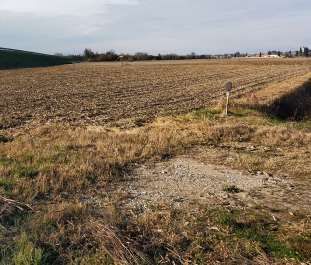 Terreno agricolo in Vendita in Via Pasquale Besenghi a Campolongo Tapogliano