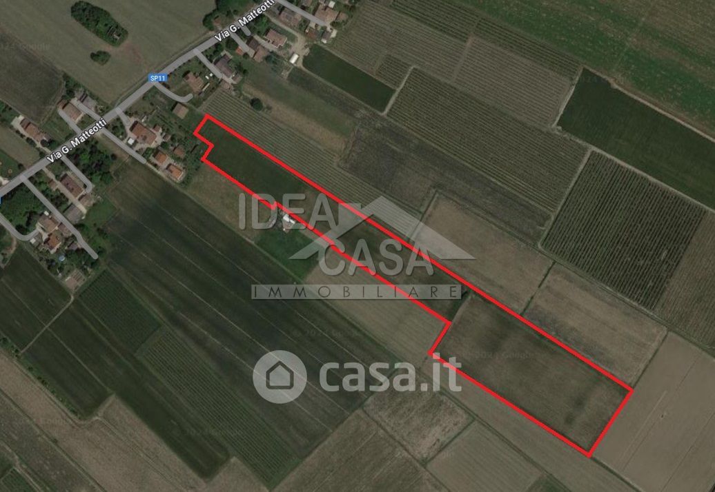 Terreno agricolo in Vendita in Via G. Matteotti a San Possidonio