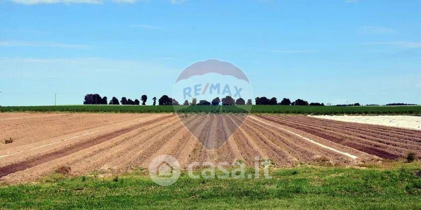 Terreno agricolo in Affitto in Via Falcineto 90 a Fano