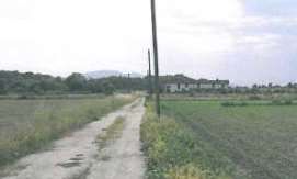 Terreno agricolo in Vendita in Via del Gremignaio a Santa Maria a Monte