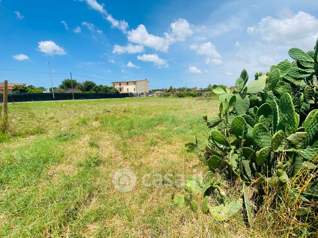 Terreno agricolo in Vendita in Via Bergantino a Roma