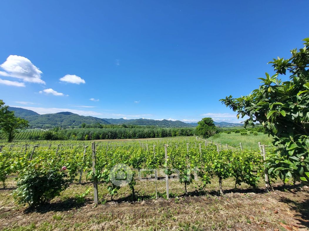 Terreno agricolo in Vendita in a Mombello Monferrato