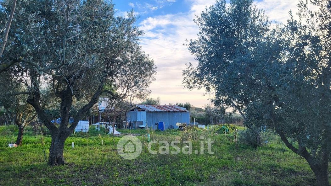 Terreno agricolo in Vendita in Via del Paratino 9 a Cecina