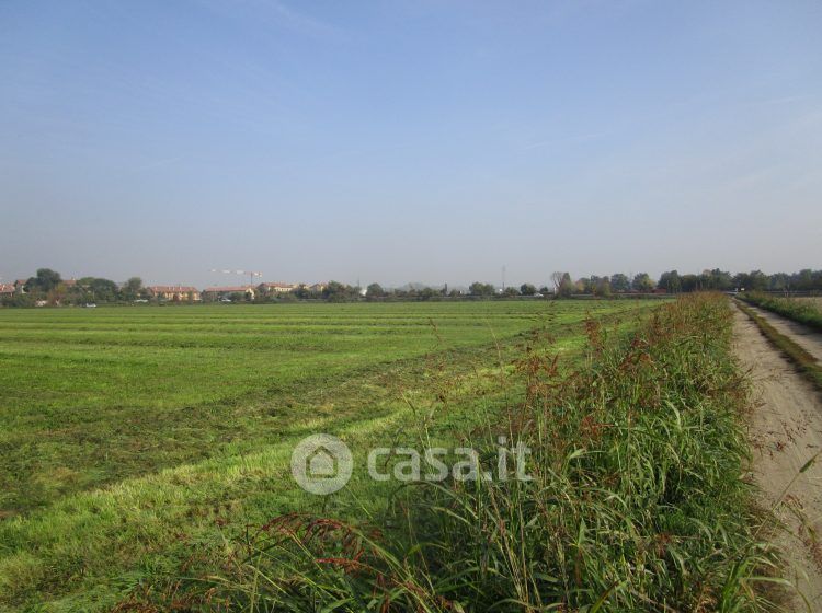 Terreno agricolo in Vendita in Località Monticello a San Donato Milanese