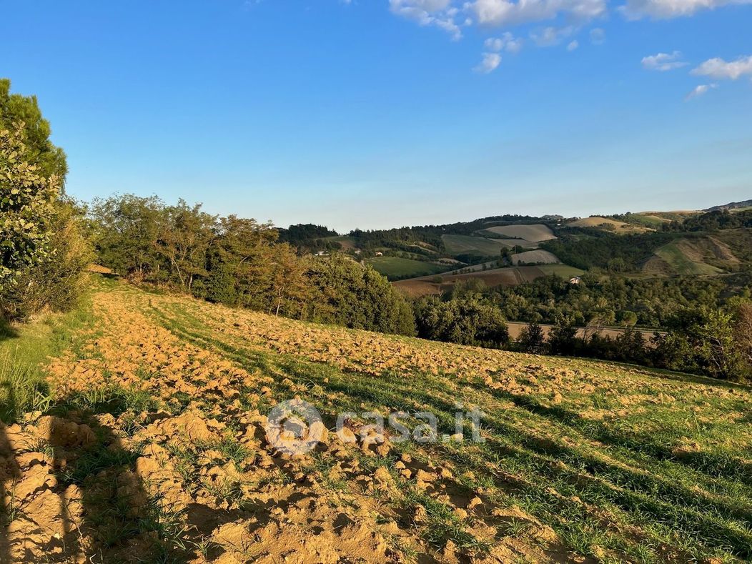 Terreno agricolo in Vendita in Via Pavarella 1031 a Castel San Pietro Terme