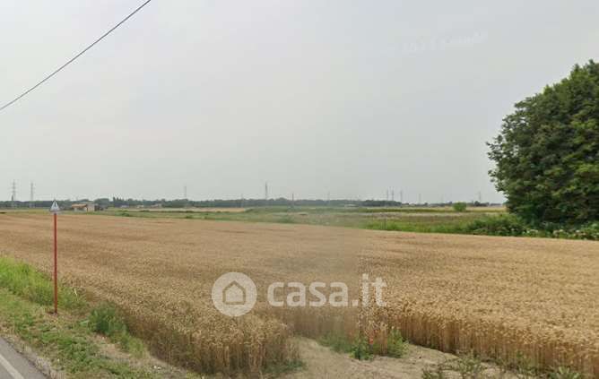 Terreno agricolo in Vendita in Via Murazze a Porto Viro