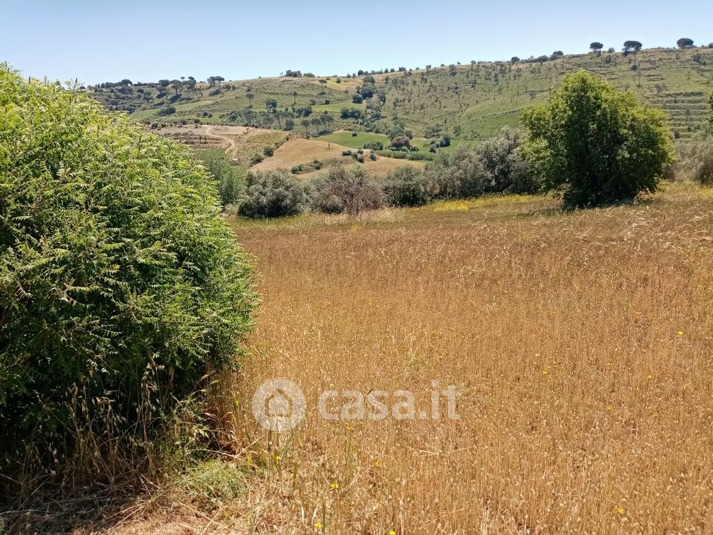 Terreno agricolo in Vendita in Via Croce del Vicario a Caltagirone