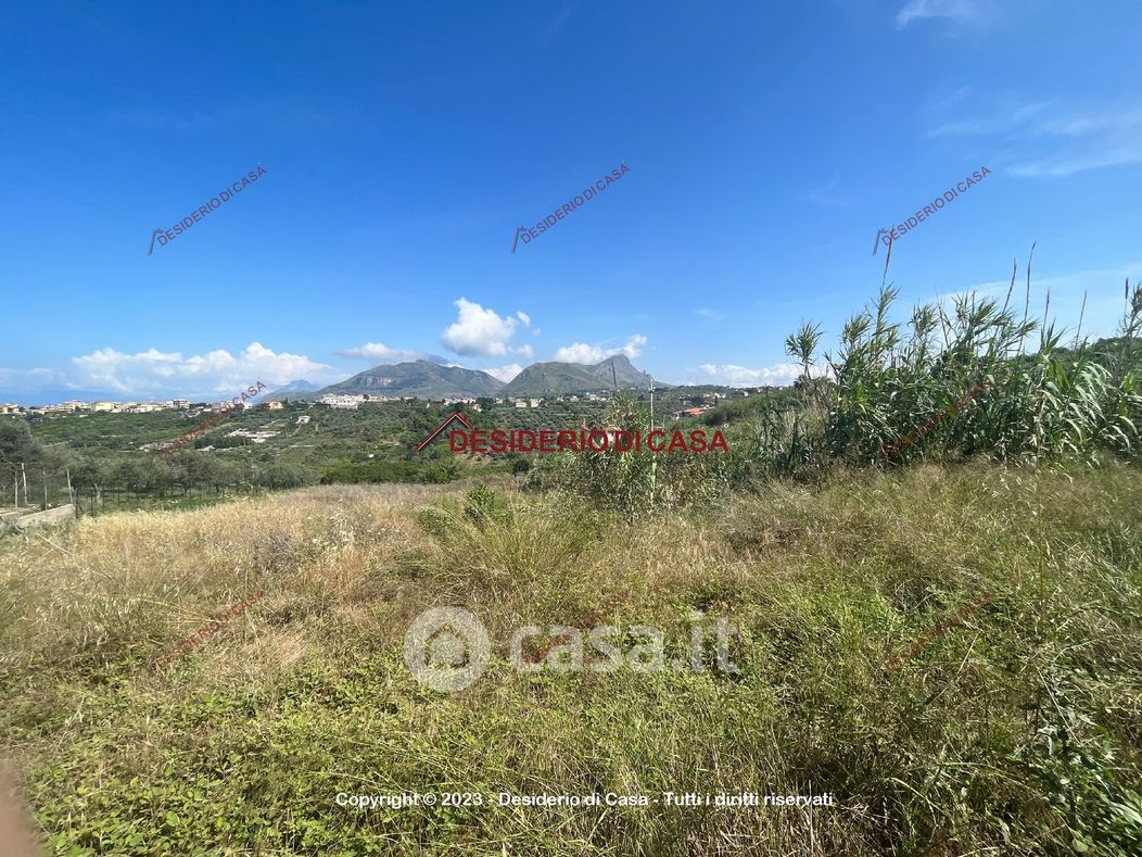 Terreno agricolo in Vendita in SP16 a Santa Flavia
