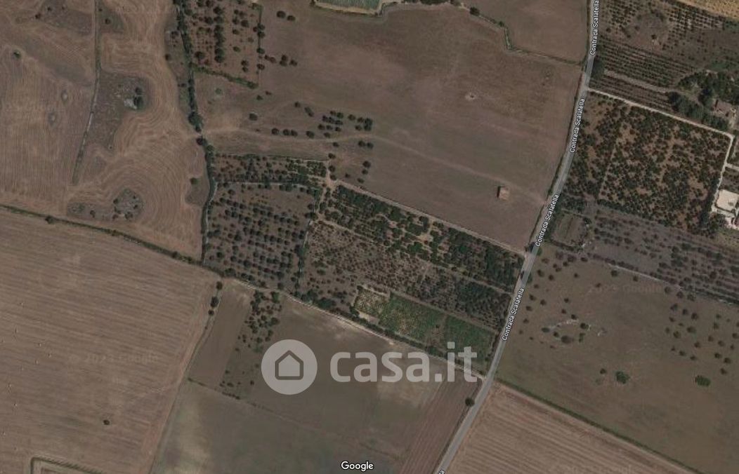 Terreno agricolo in Vendita in Contrada Scalatella a Sammichele di Bari
