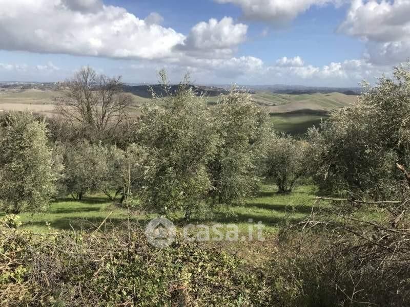 Terreno agricolo in Vendita in a Chianni