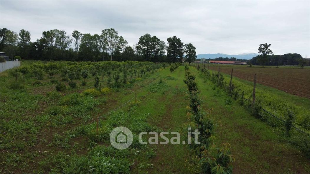 Terreno agricolo in Vendita in Via Sant'Andrea a Misinto
