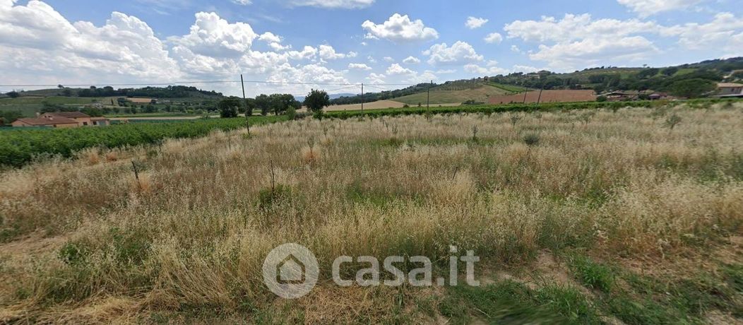 Terreno agricolo in Vendita in Località Turri a Montefalco