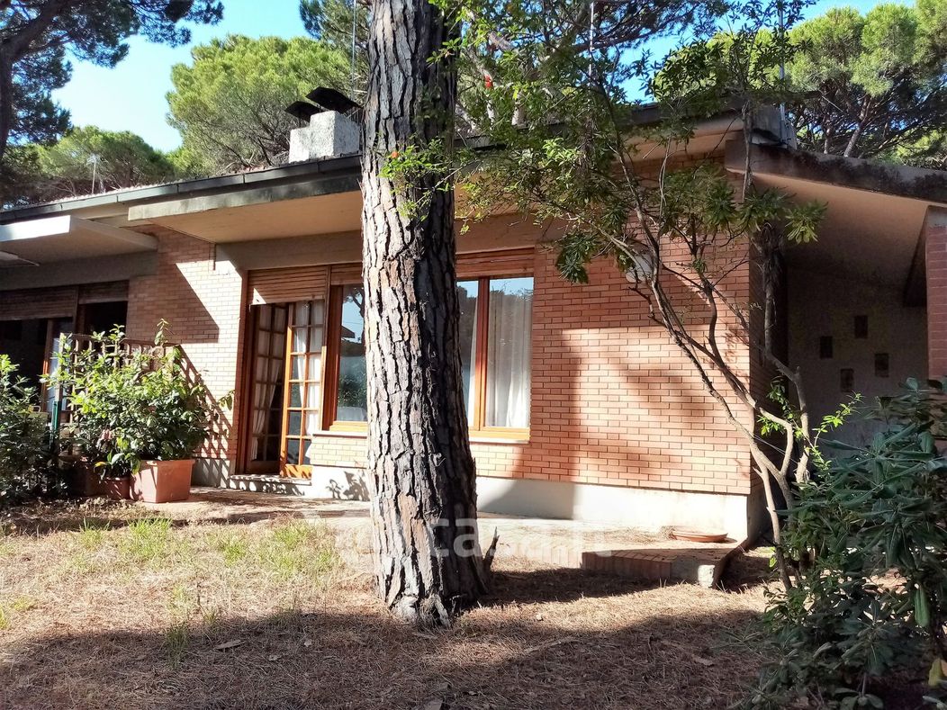 Casa Bi/Trifamiliare in Vendita in Via dell'oleandro a Grosseto