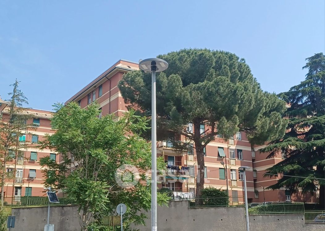 Appartamento in Vendita in Via Cordanieri a Genova
