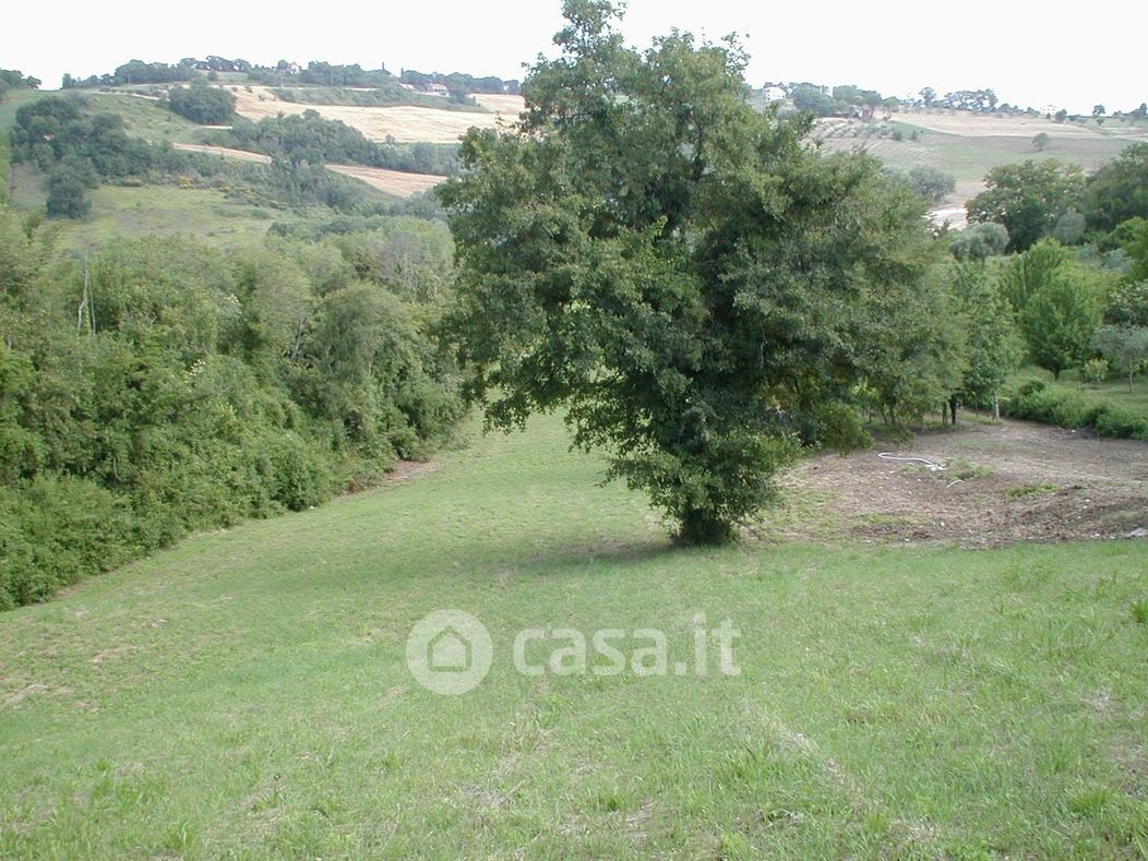 Terreno edificabile in Vendita in Vocabolo Colle Riano e Passo Castagno a Forano
