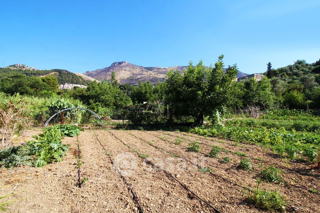 Terreno agricolo in Vendita in Contrada Giarromesi a Altofonte