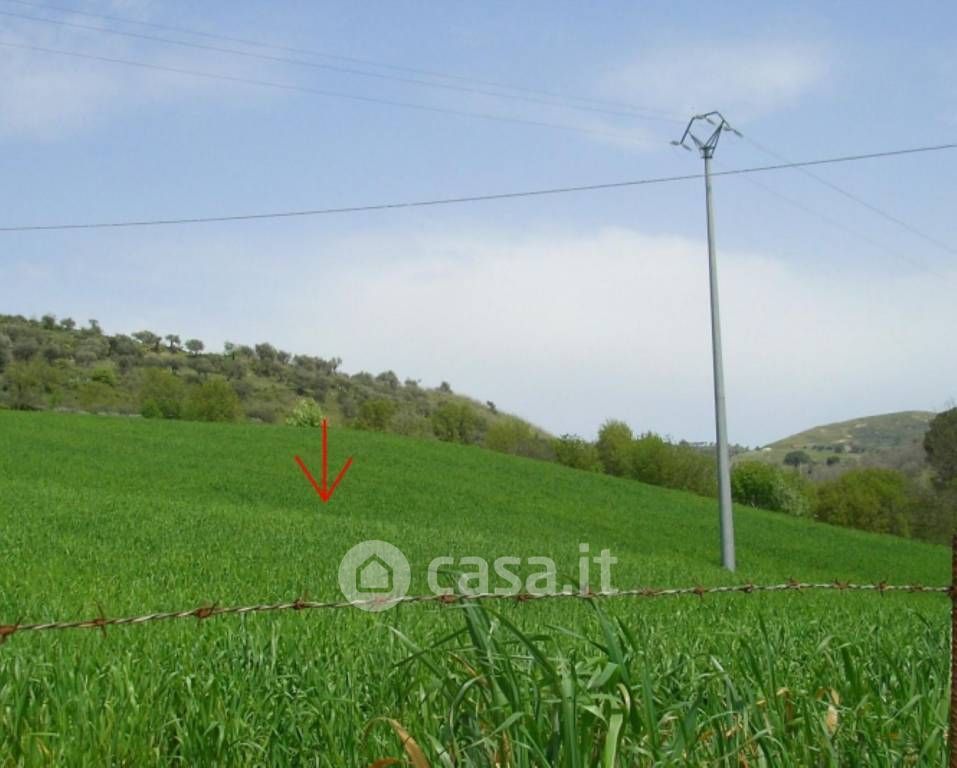 Terreno edificabile in Vendita in Via Piedimonte 100 a Castronovo di Sicilia