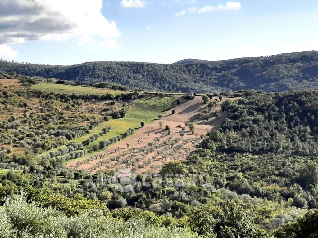 Terreno agricolo in Vendita in Via dei giardini a Castellina Marittima