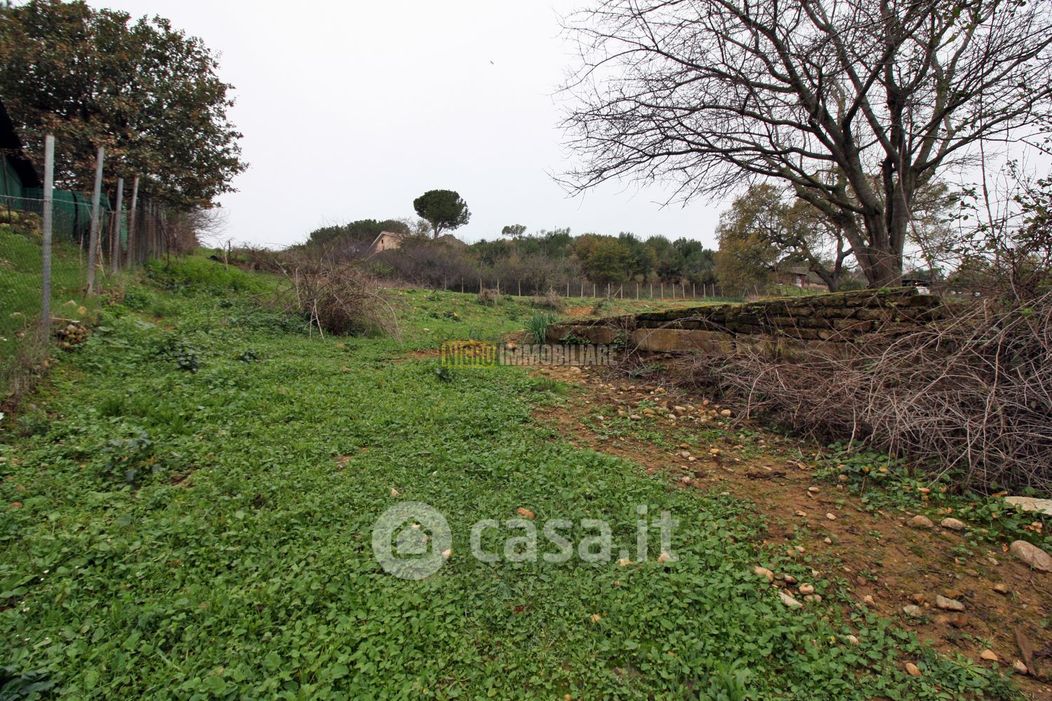 Terreno agricolo in Vendita in Via Luciana Armandino Laora a Cerveteri
