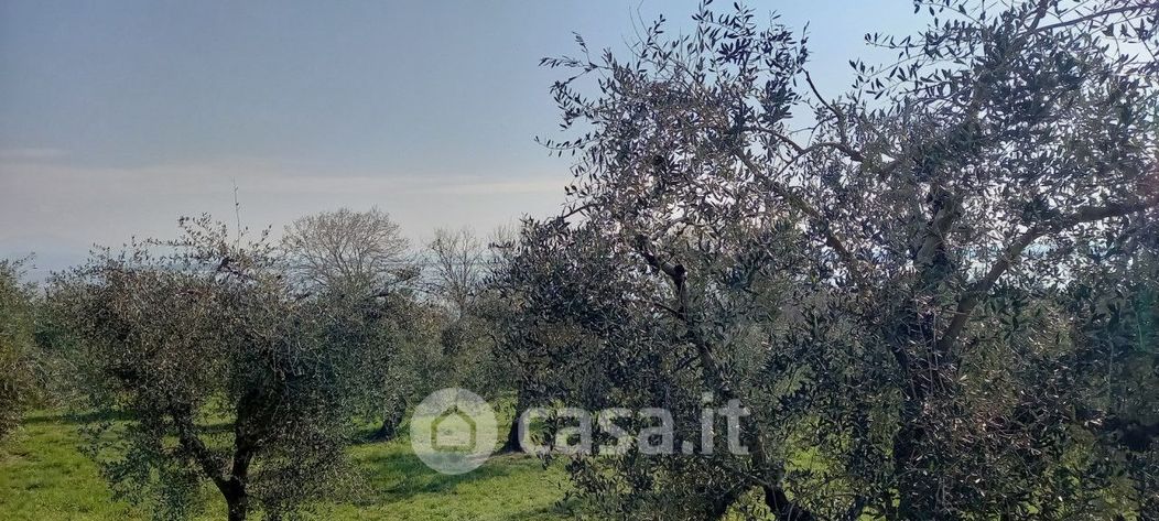 Terreno agricolo in Vendita in Lungolago Cesare Battisti a Desenzano del Garda