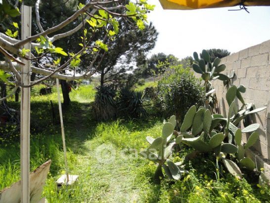 Terreno agricolo in Vendita in a Mola di Bari