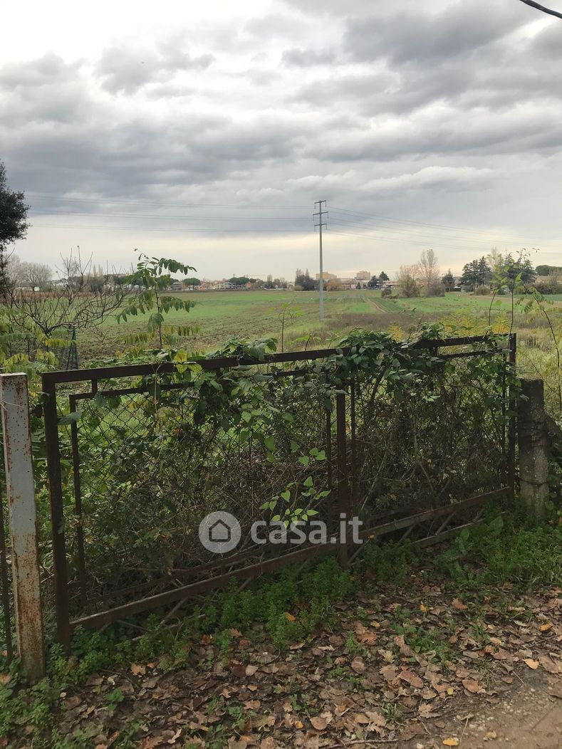 Terreno agricolo in Vendita in Via San Tomaso a Cesena