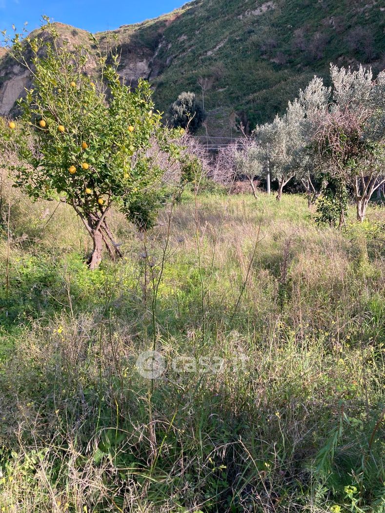 Terreno agricolo in Affitto in Bovetto a Reggio Calabria