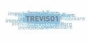 IMMOBILIARE TREVISO 1 Srl