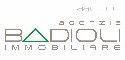 BADIOLI AGENZIA IMMOBILIARE