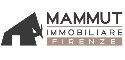 Mammut Immobiliare sas di Lucia Incatasciato e C.