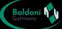 Agenzia Baldoni di Roncon Maurizio