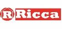ricca immobiliare