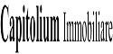 CAPITOLIUM IMMOBILIARE