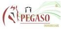 Pegaso Immobiliare