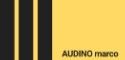 Marco Audino