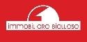 IMMOBILIARE BIELLESE