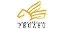 Pegaso Immobiliare