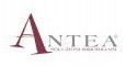Antea soluzioni immobiliari