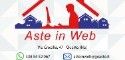 Aste in Web