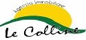 Agenzia immobiliare le colline